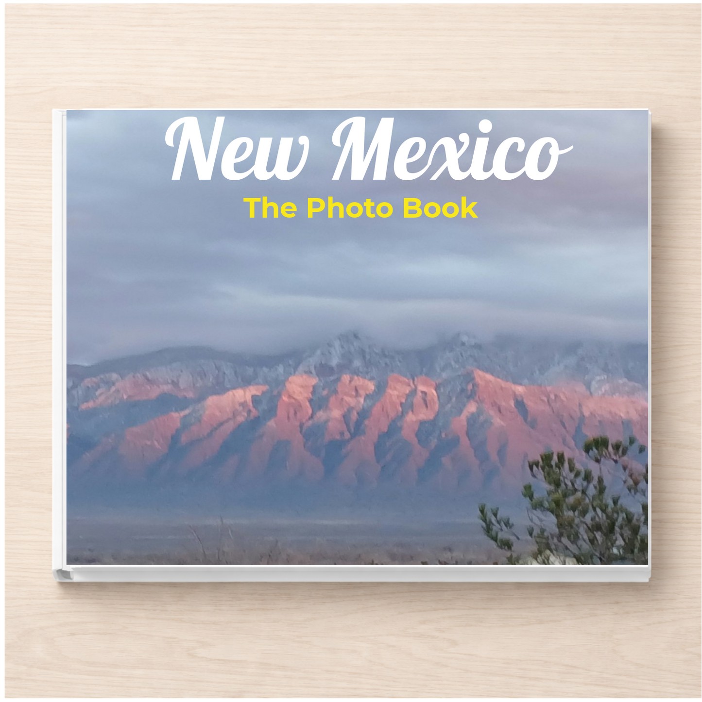 New Mexico: The Photo Book