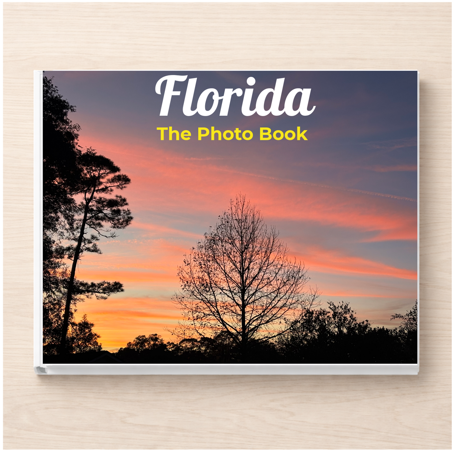 Florida: The Photo Book