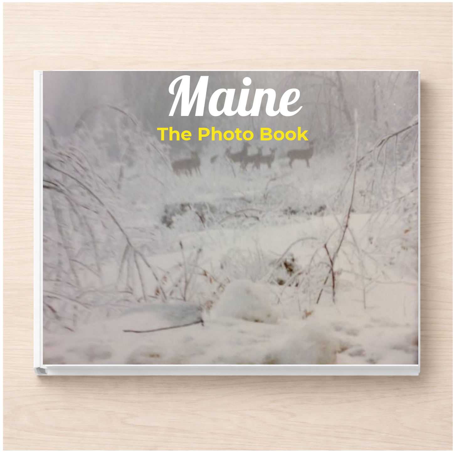 Maine: The Photo Book