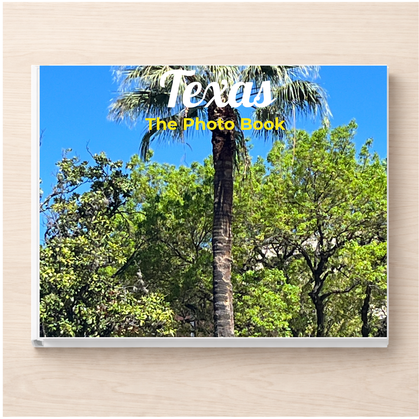 Texas: The Photo Book