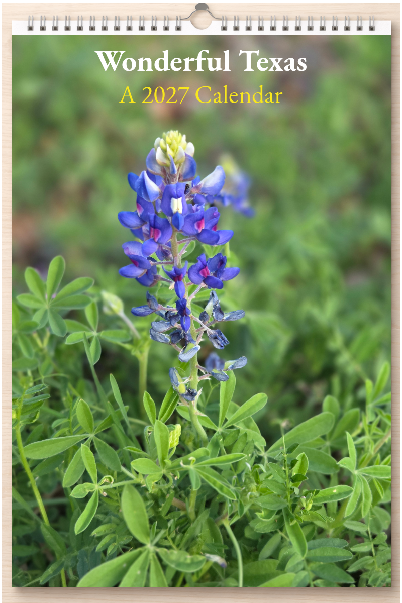 Wonderful Texas: A 2027 Calendar