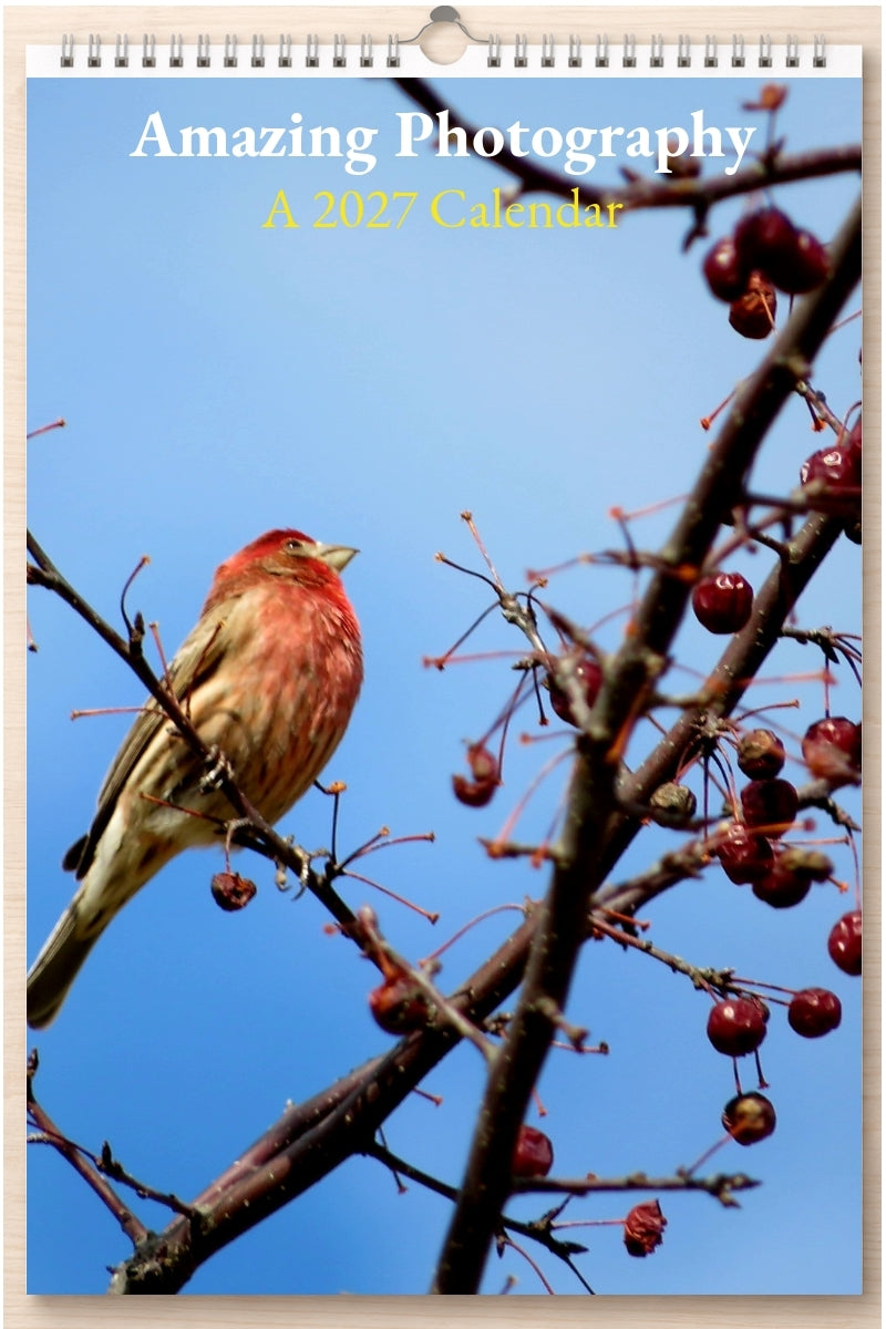 Amazing Photography: A 2027 Calendar