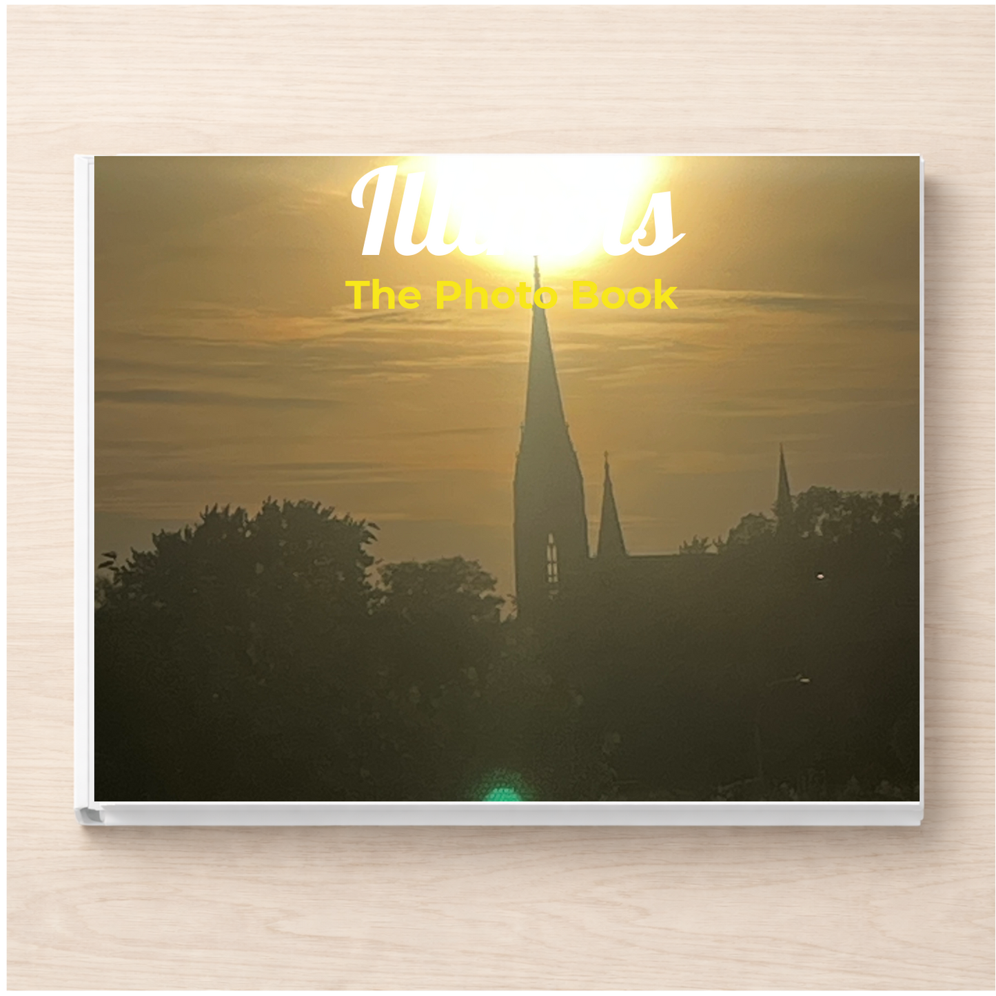 Illinois: The Photo Book