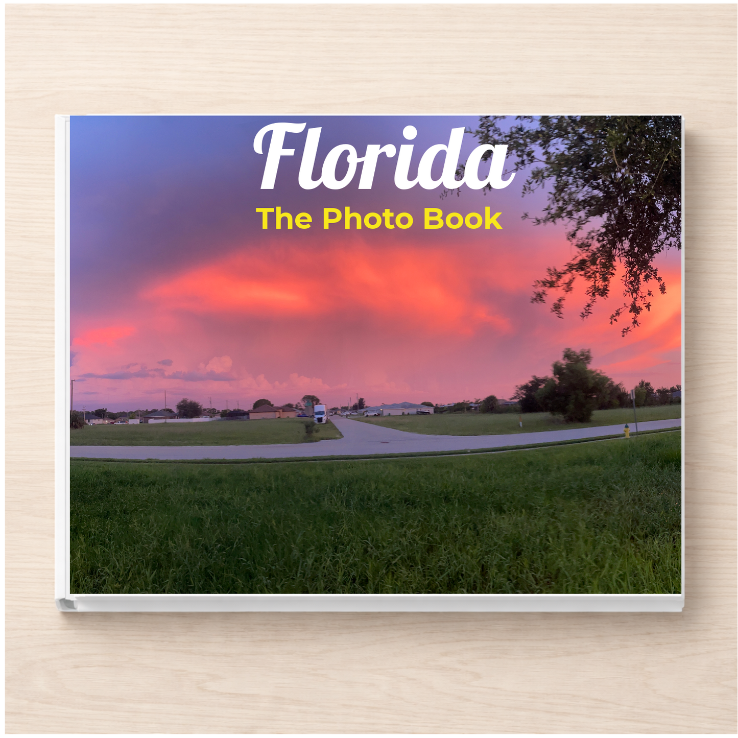 Florida: The Photo Book