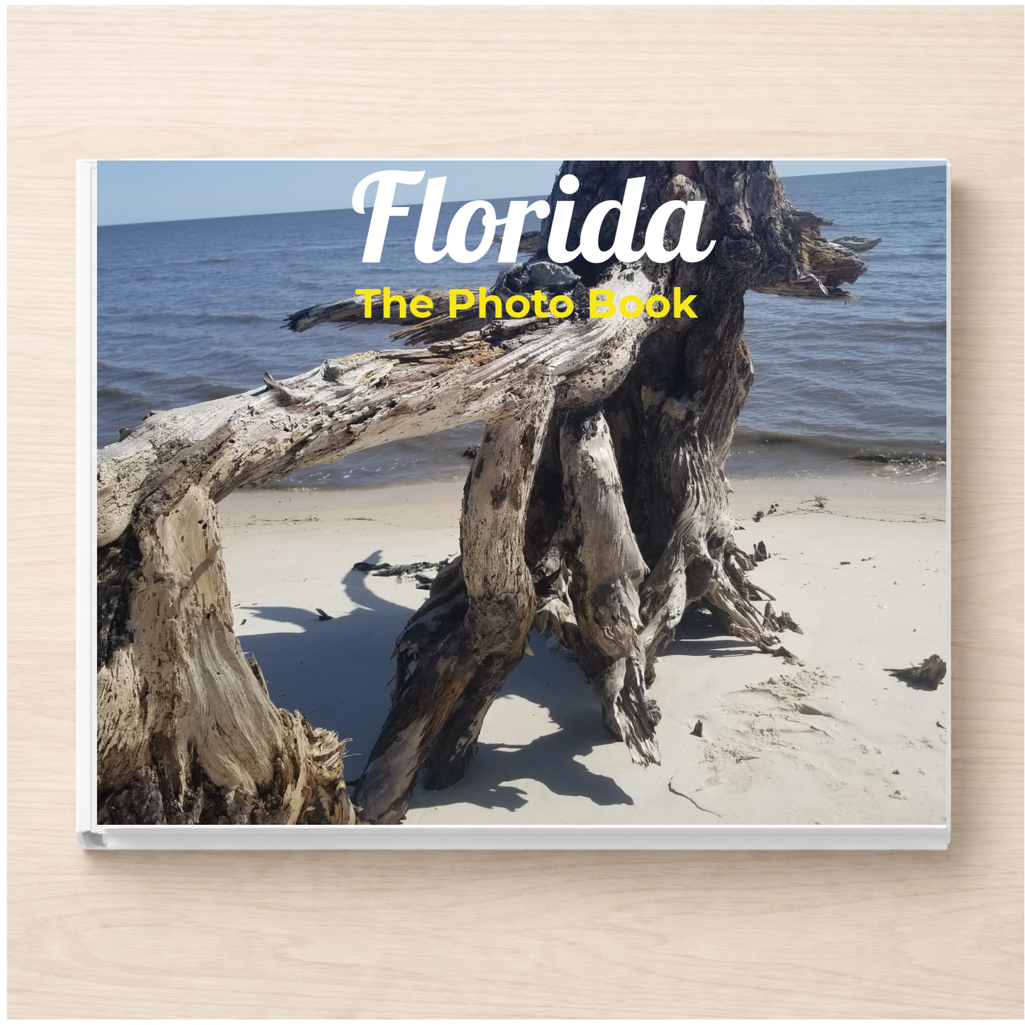 Florida: The Photo Book