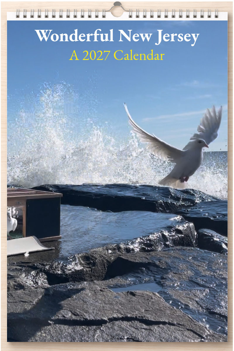 Wonderful New Jersey: A 2027 Calendar