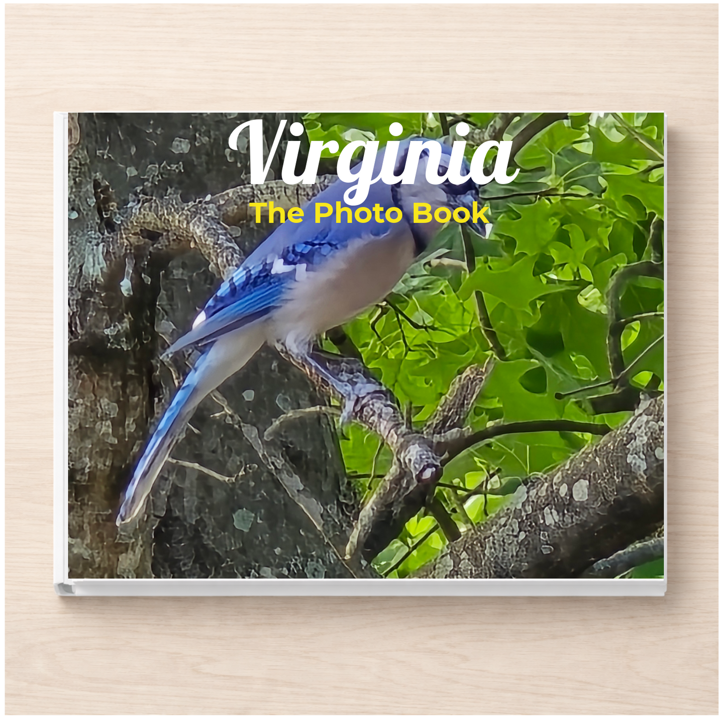 Virginia: The Photo Book