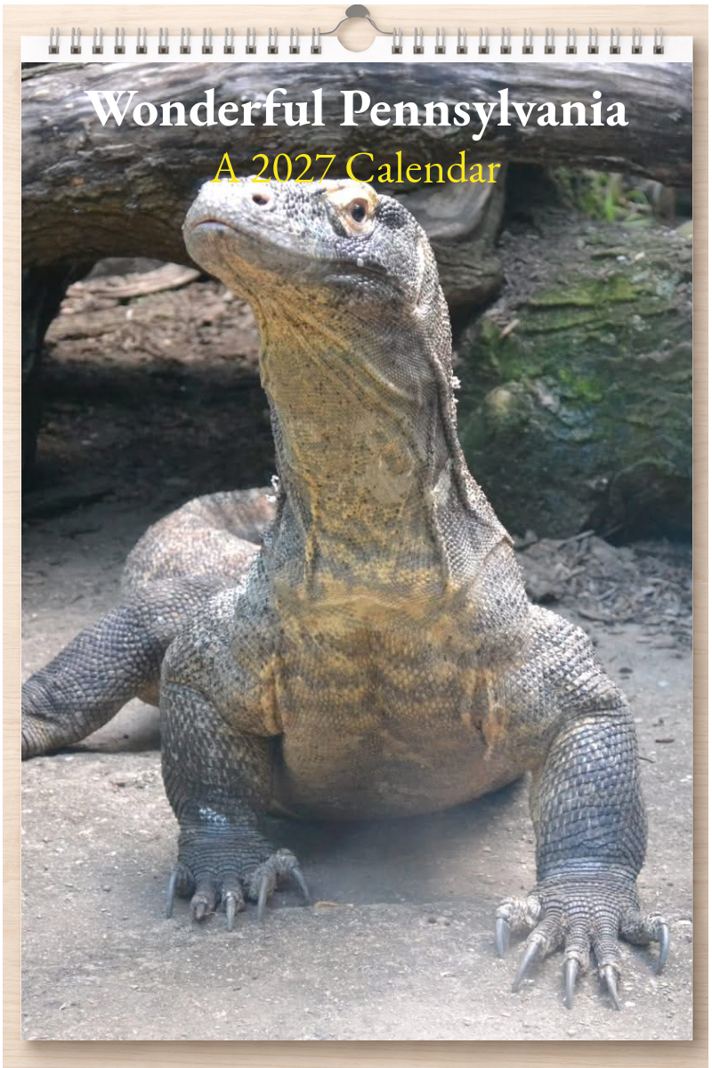 Wonderful Pennsylvania: A 2027 Calendar