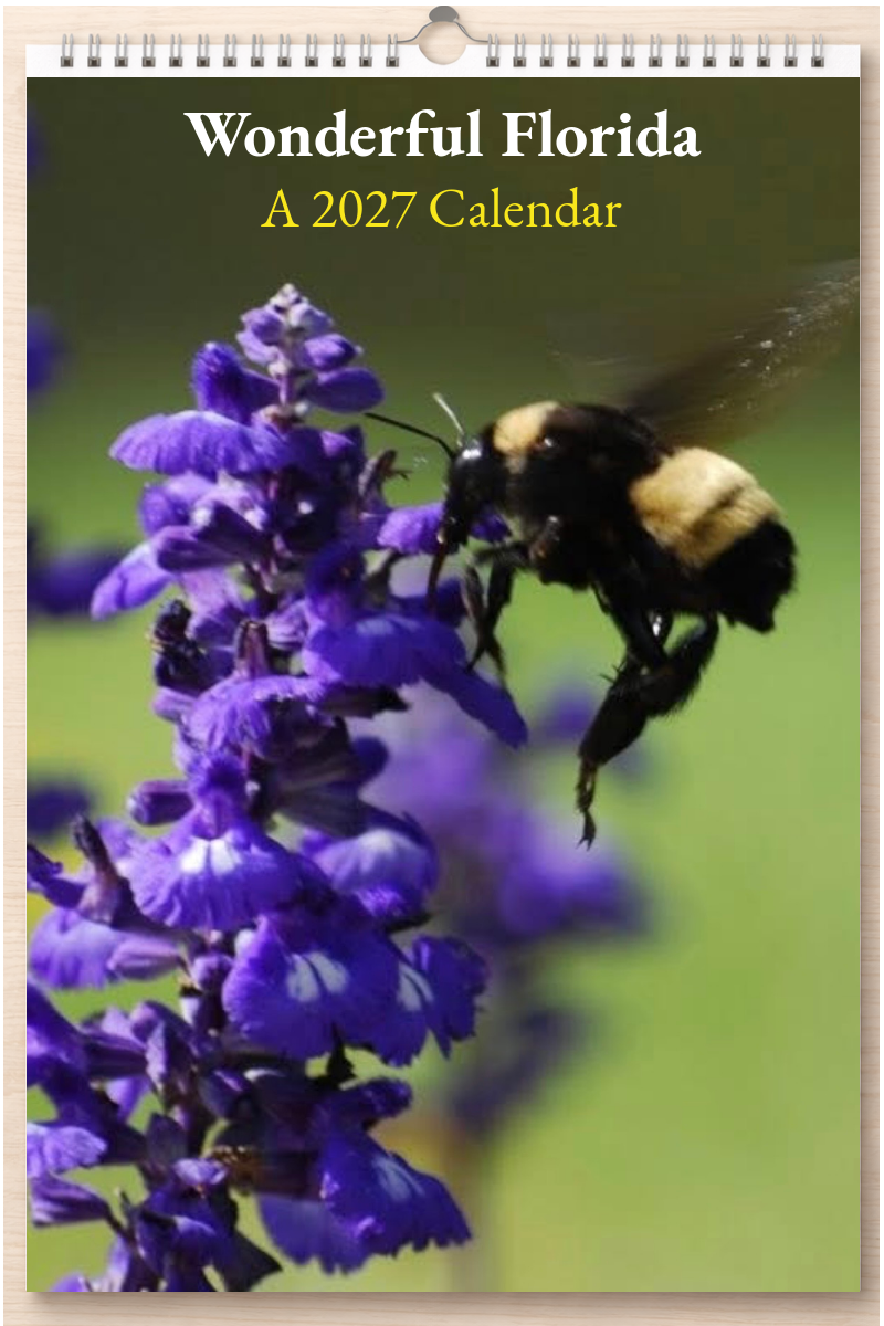 Wonderful Florida: A 2027 Calendar