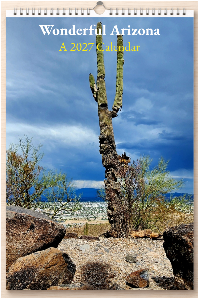 Wonderful Arizona: A 2027 Calendar