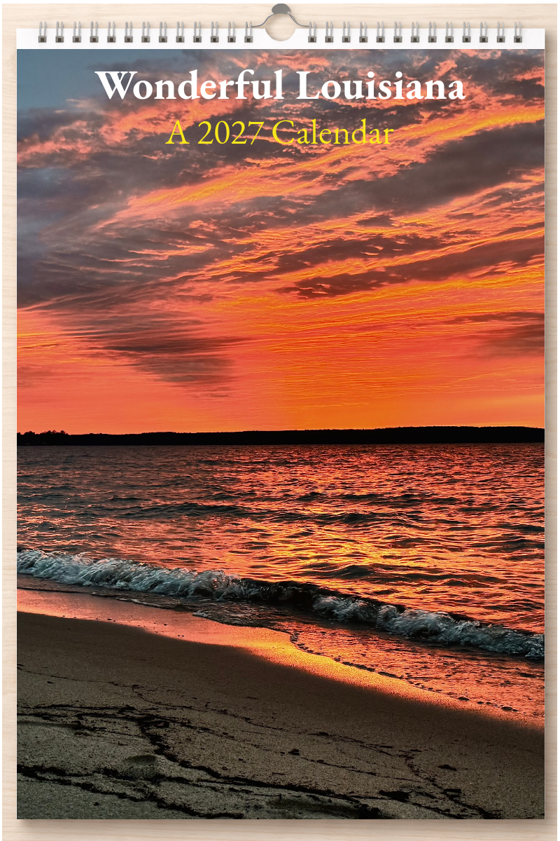 Wonderful Louisiana: A 2027 Calendar
