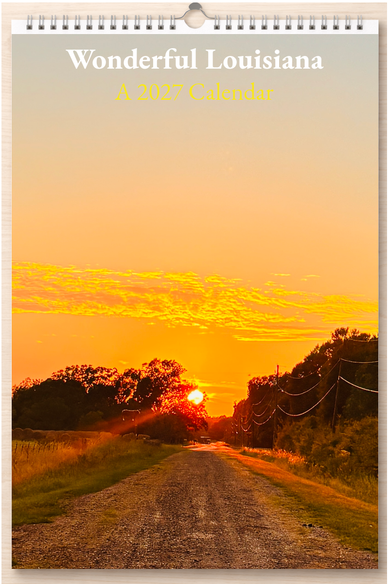 Wonderful Louisiana: A 2027 Calendar