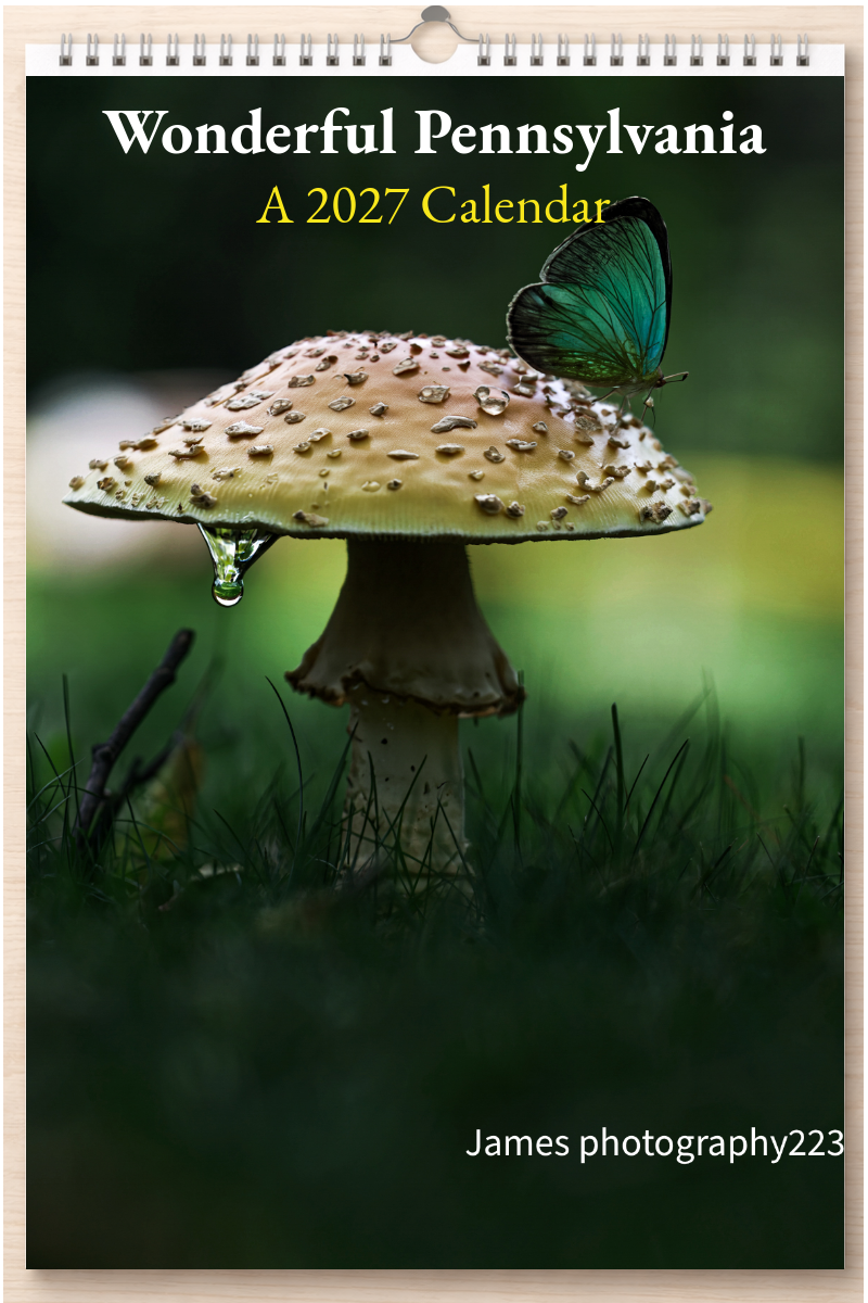 Wonderful Pennsylvania: A 2027 Calendar