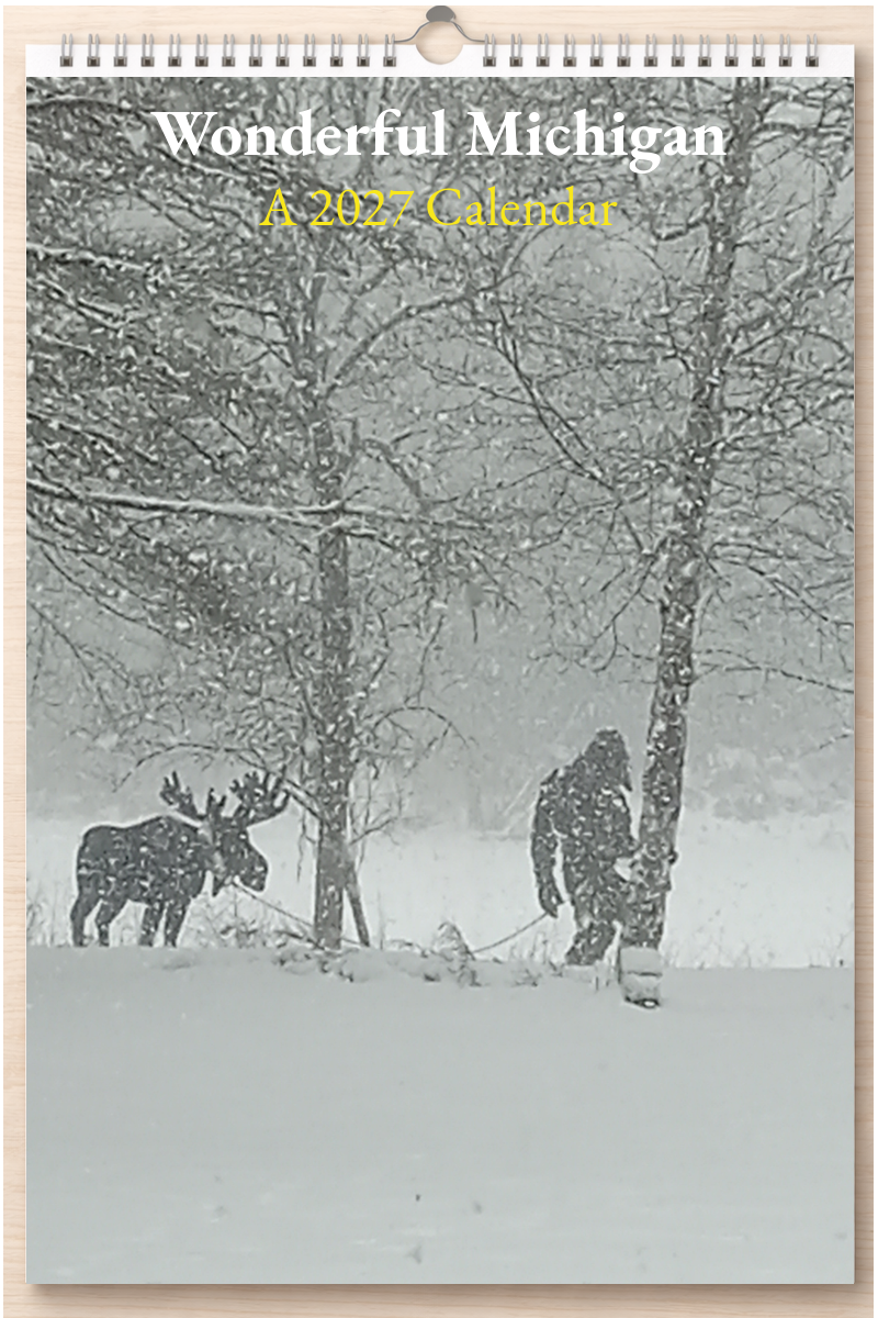 Wonderful Michigan: A 2027 Calendar