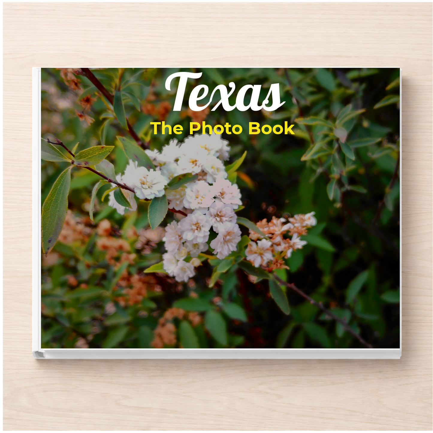 Texas: The Photo Book