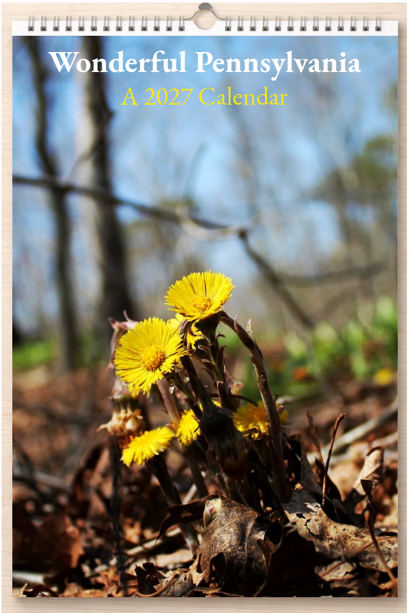 Wonderful Pennsylvania: A 2027 Calendar
