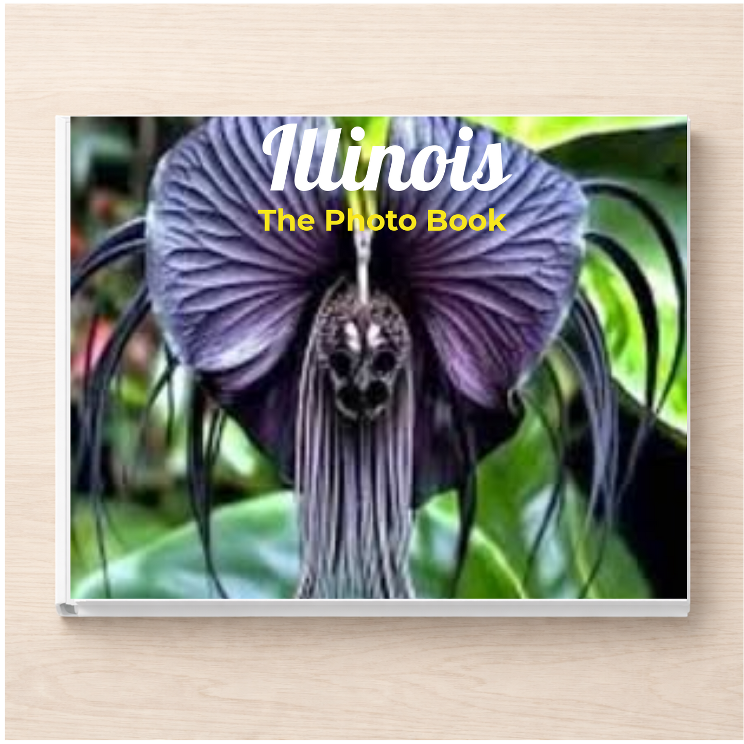 Illinois: The Photo Book