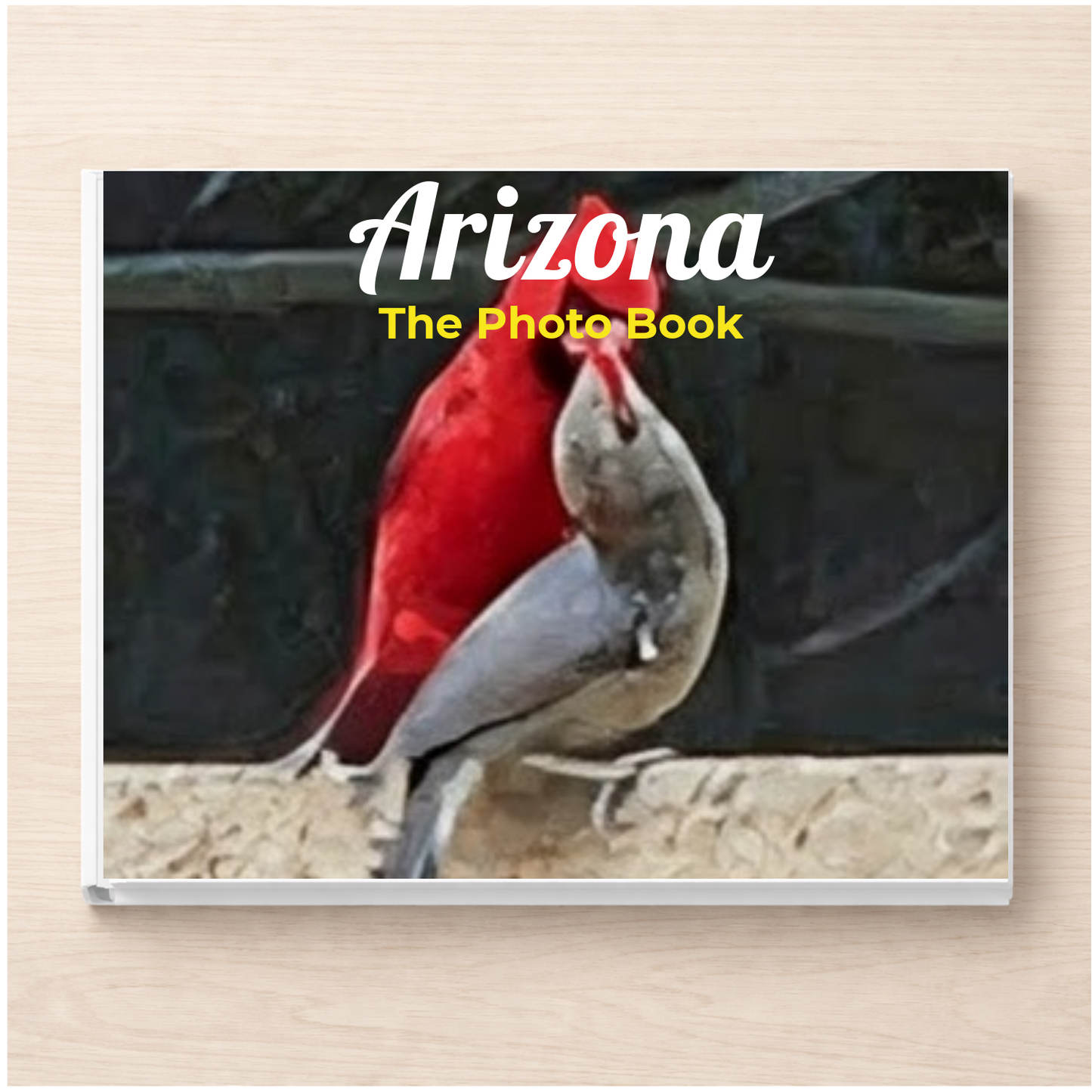 Arizona: The Photo Book