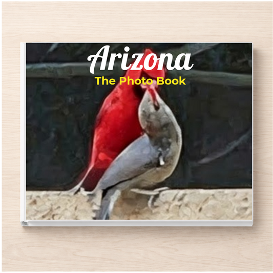 Arizona: The Photo Book