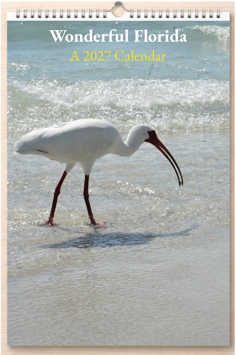 Wonderful Florida: A 2027 Calendar