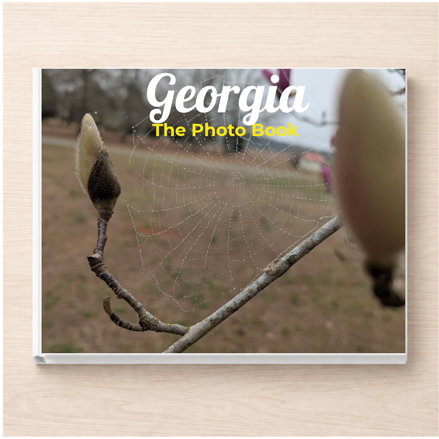 Georgia: The Photo Book