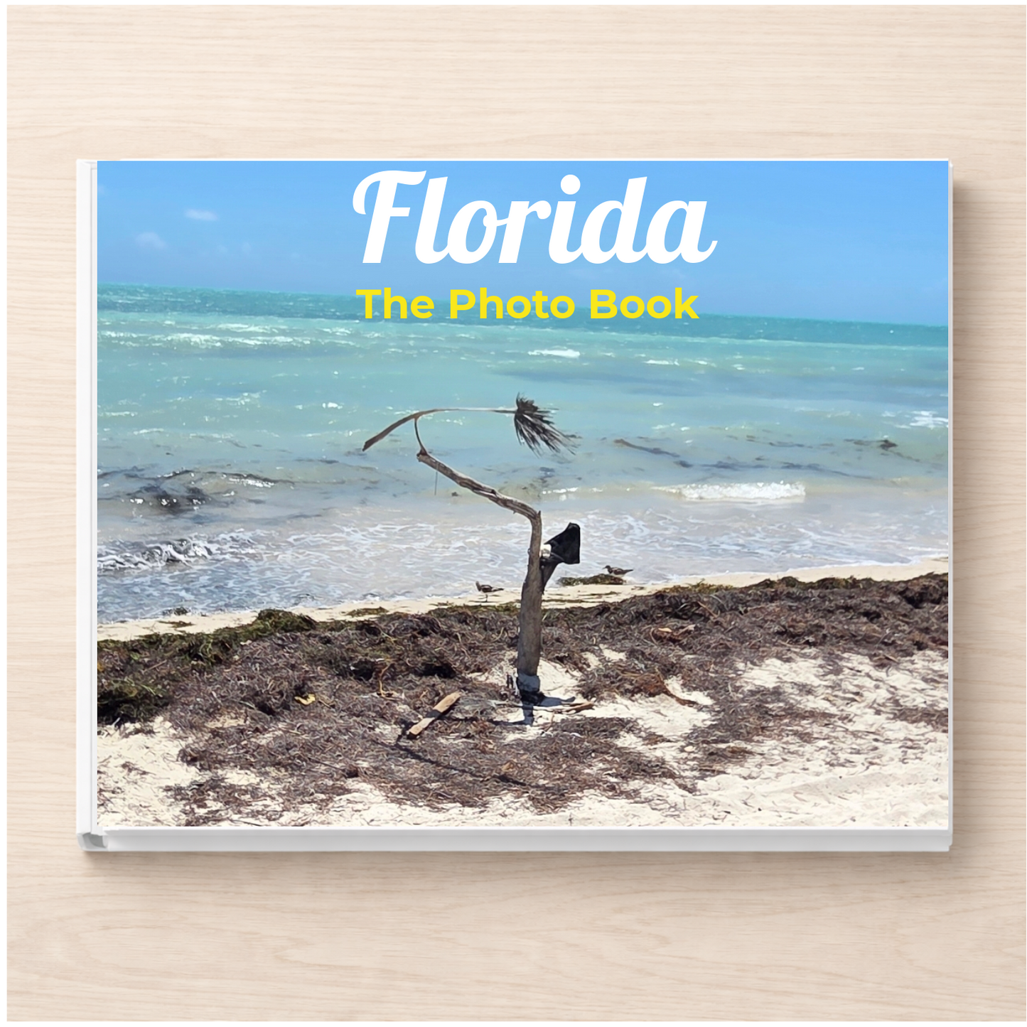 Florida: The Photo Book