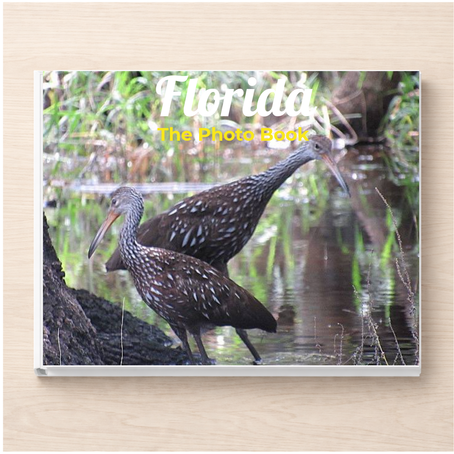 Florida: The Photo Book
