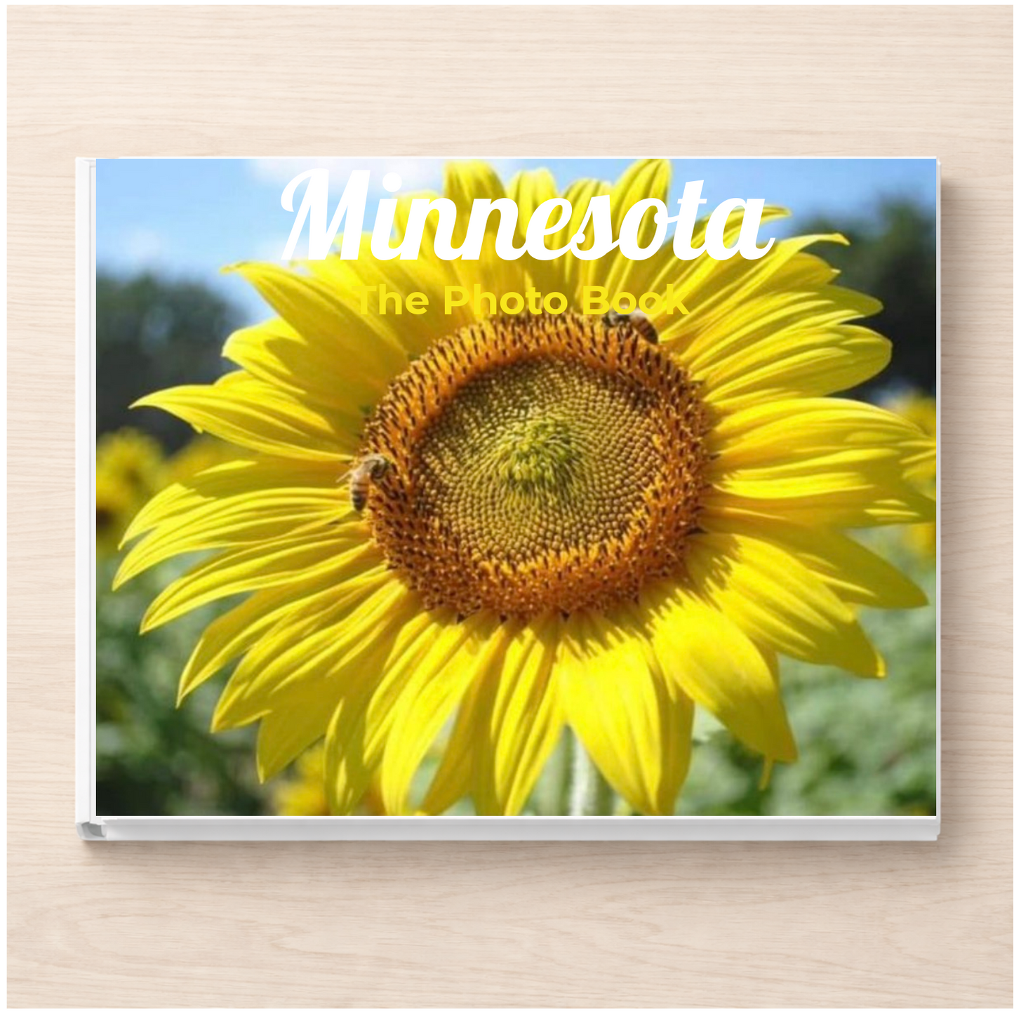 Minnesota: The Photo Book