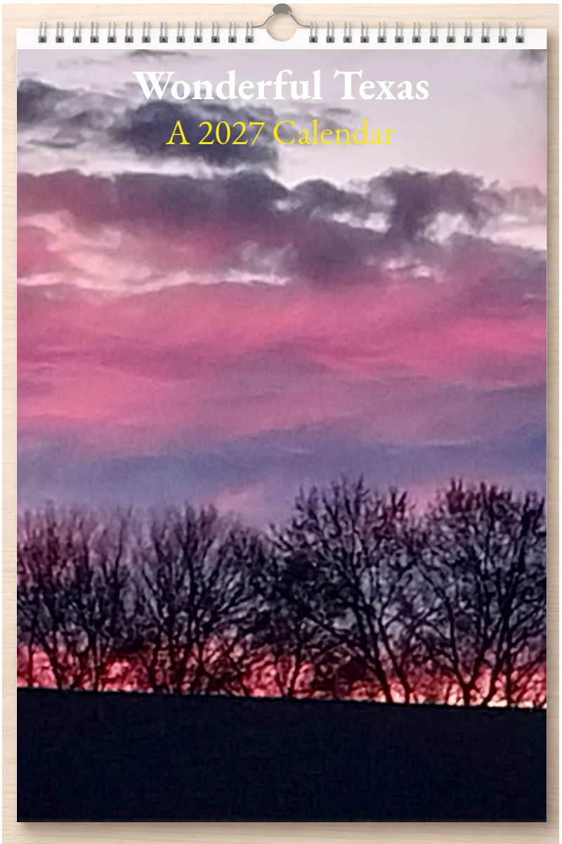 Wonderful Texas: A 2027 Calendar