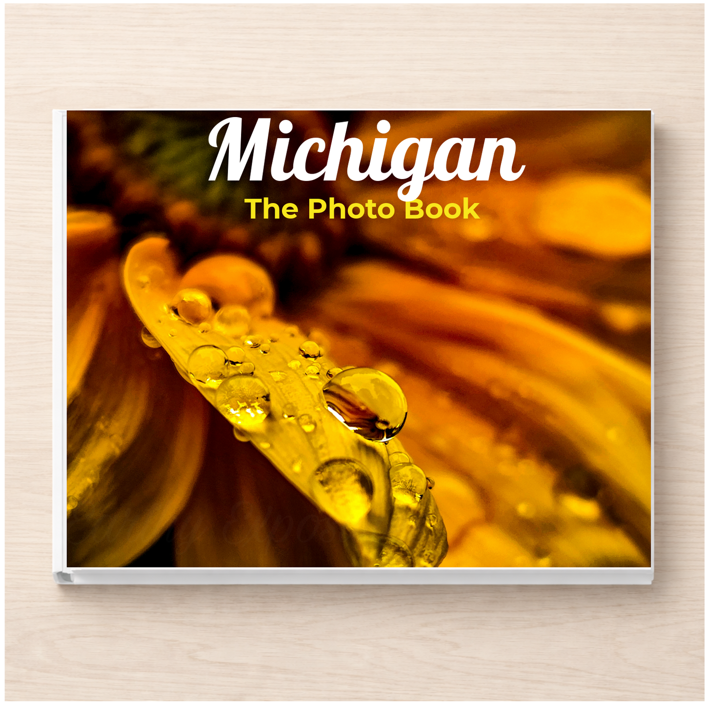 Michigan: The Photo Book