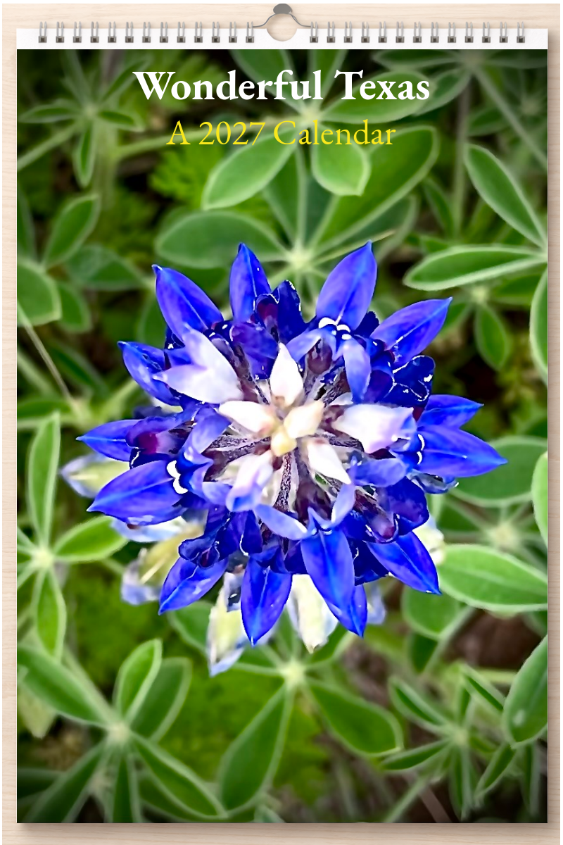Wonderful Texas: A 2027 Calendar