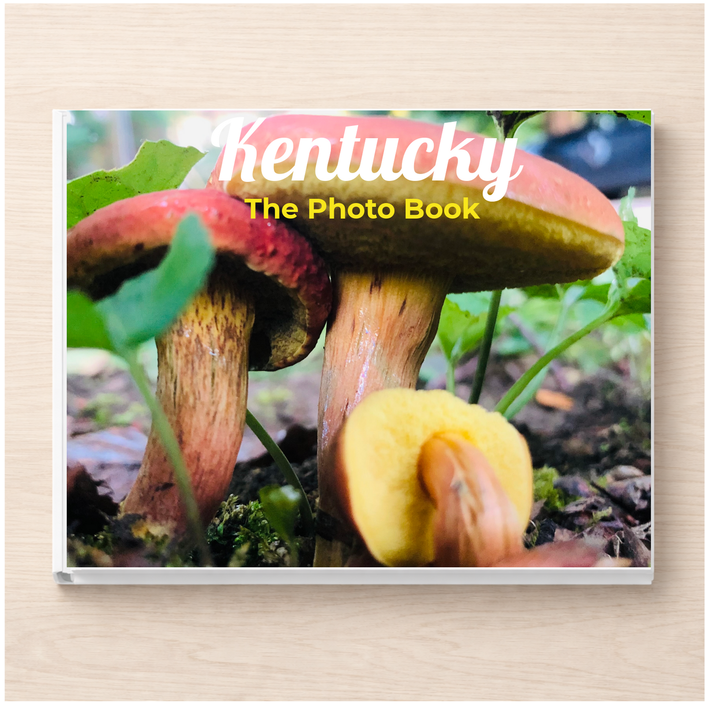 Kentucky: The Photo Book