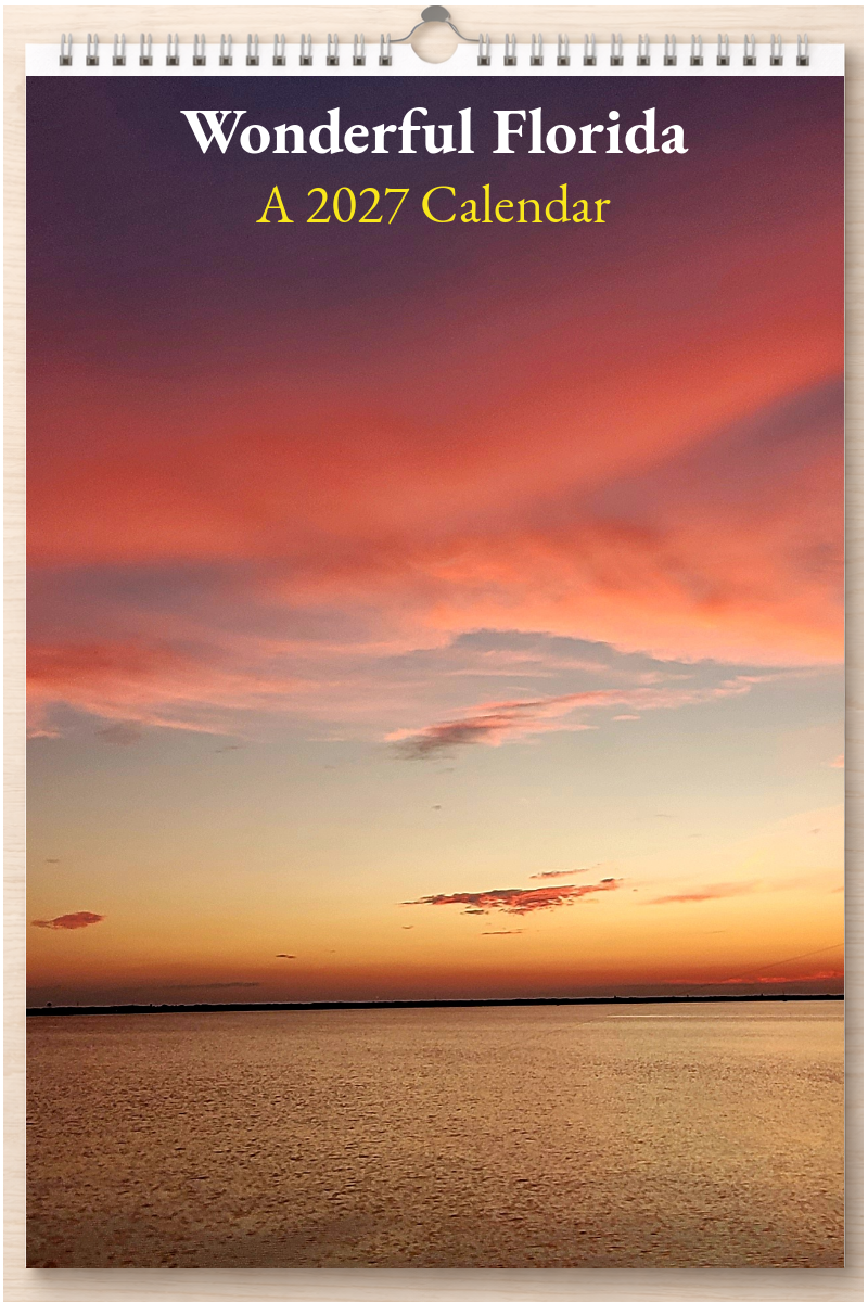 Wonderful Florida: A 2027 Calendar