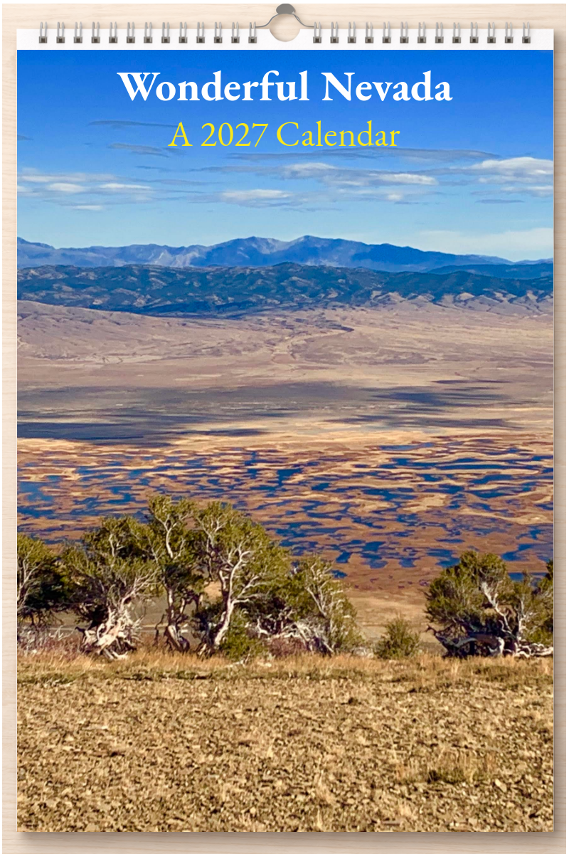 Wonderful Nevada: A 2027 Calendar