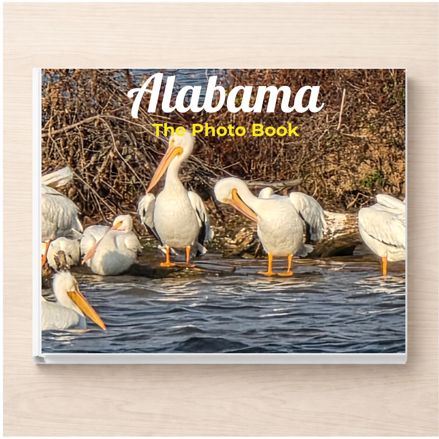 Alabama: The Photo Book