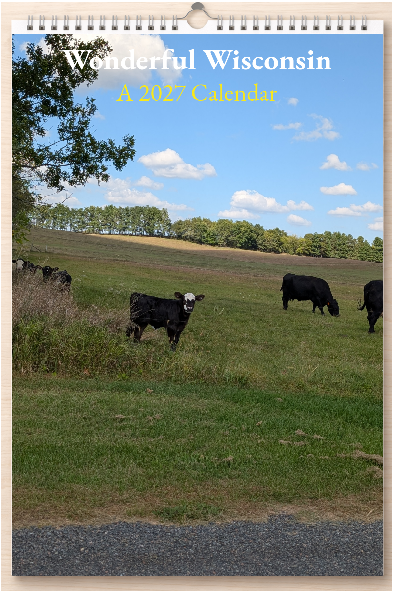 Wonderful Wisconsin: A 2027 Calendar