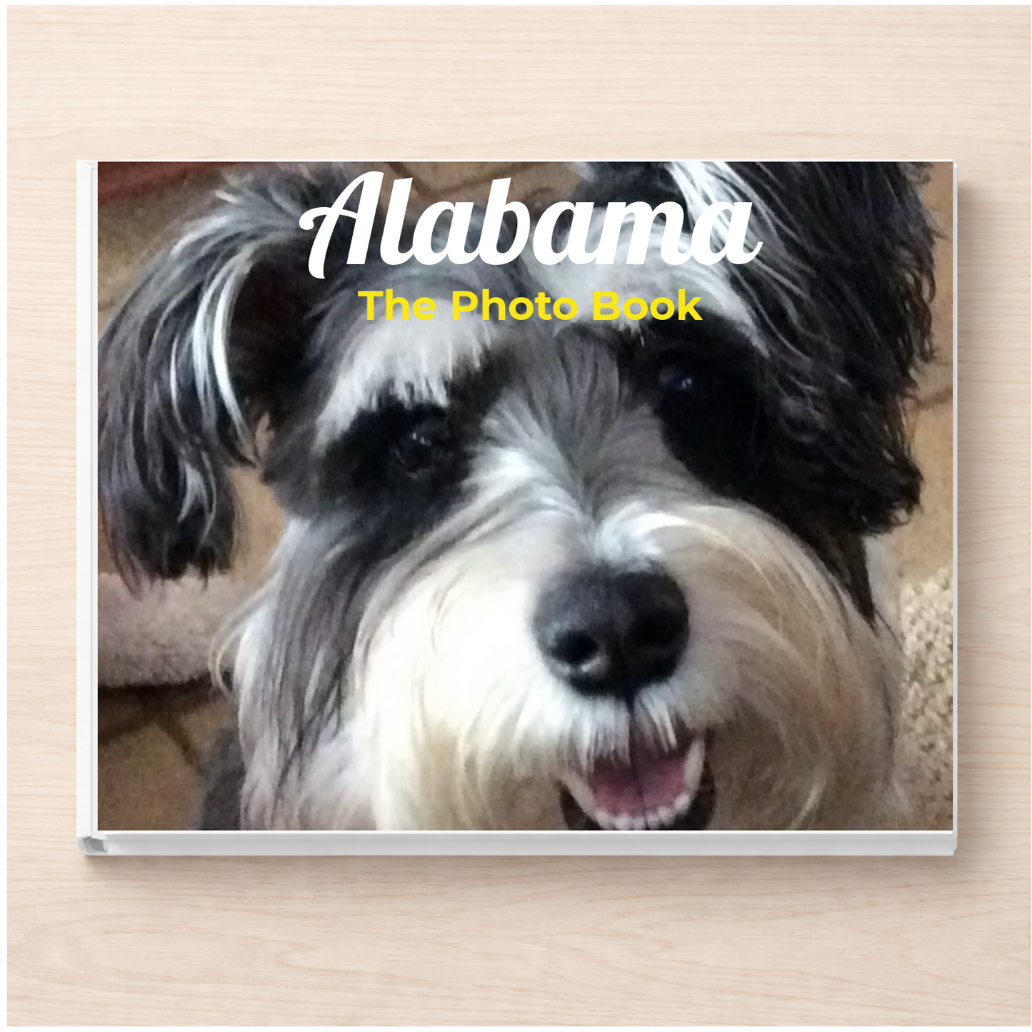 Alabama: The Photo Book