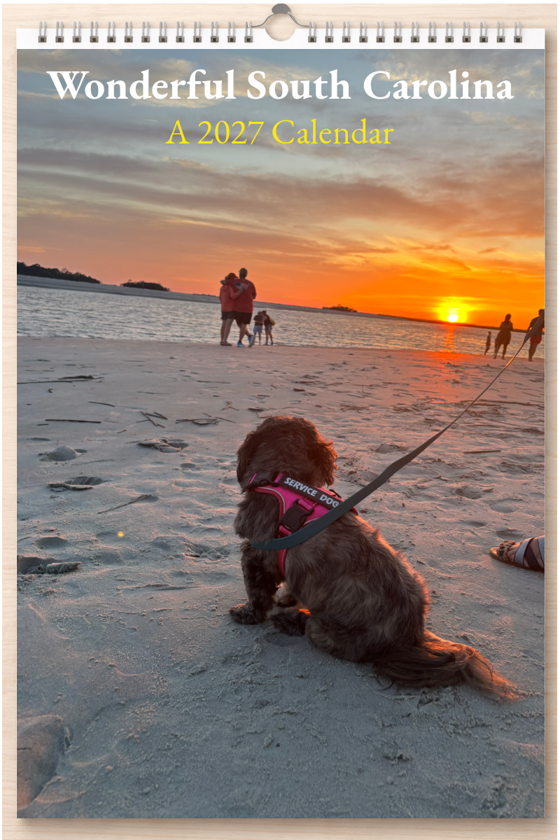 Wonderful South Carolina: A 2027 Calendar