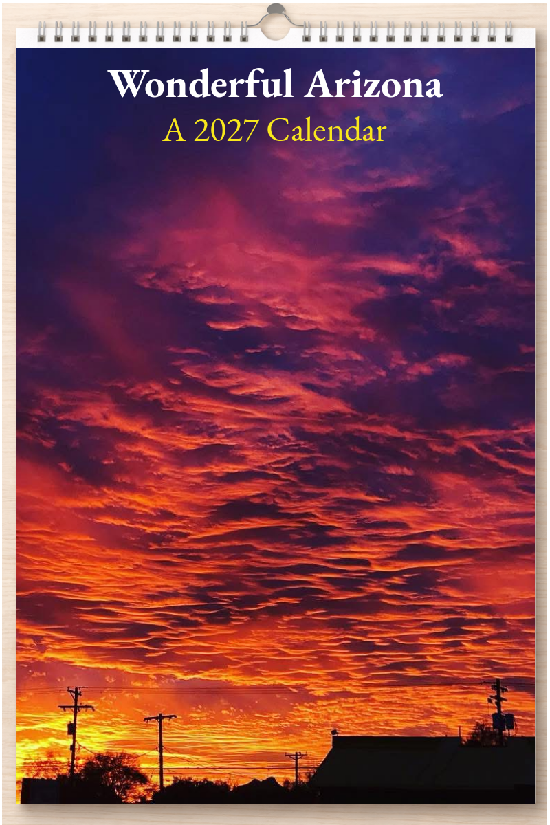Wonderful Arizona: A 2027 Calendar