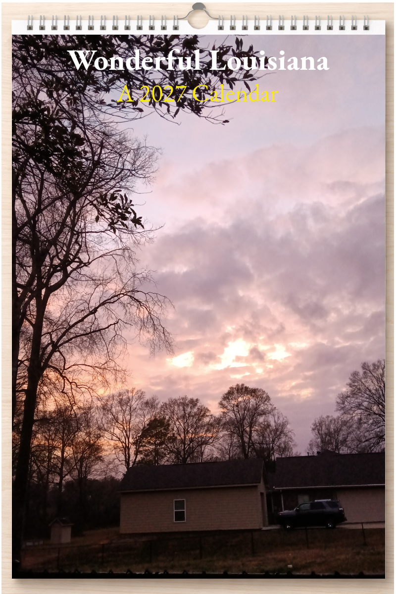 Wonderful Louisiana: A 2027 Calendar