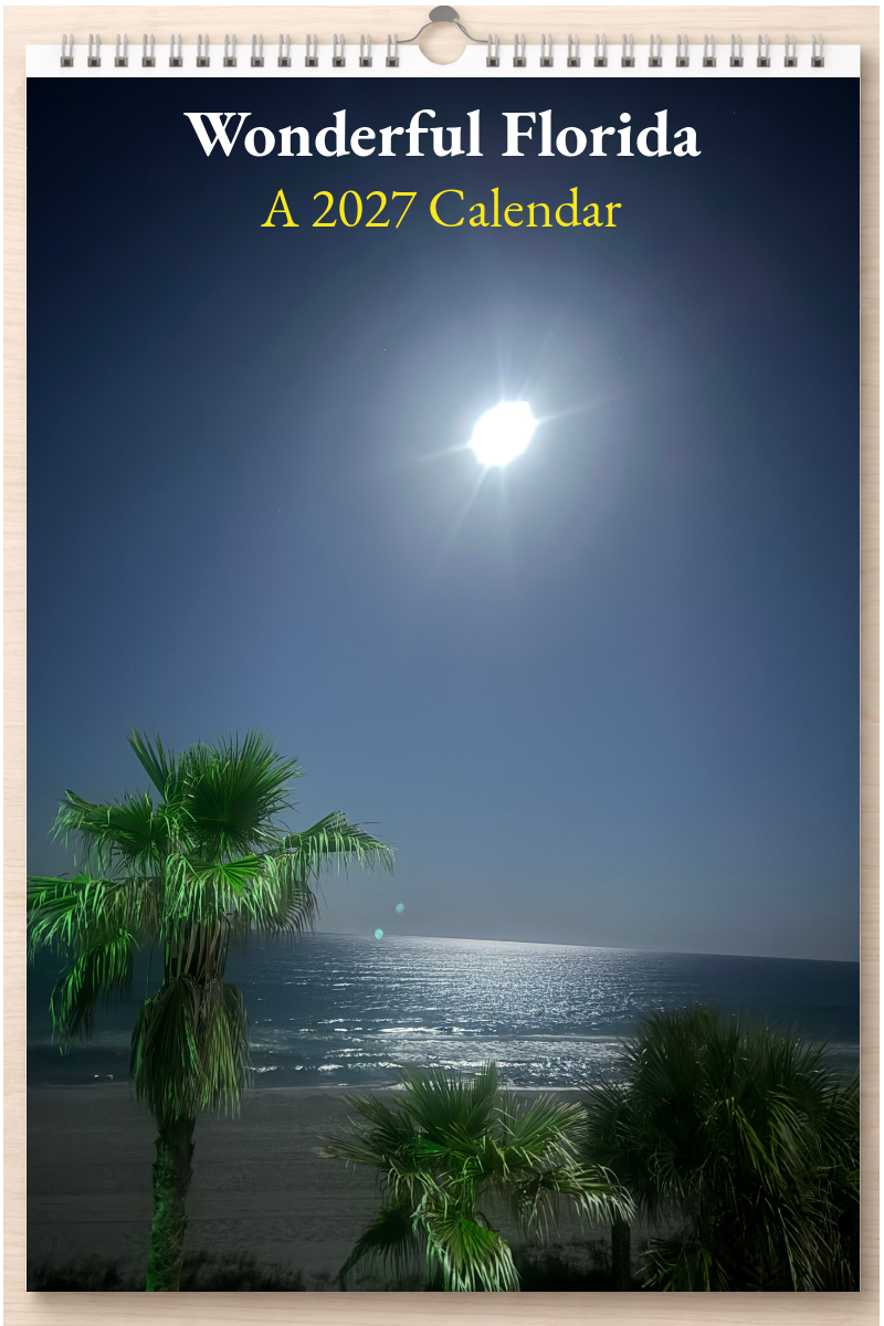 Wonderful Florida: A 2027 Calendar