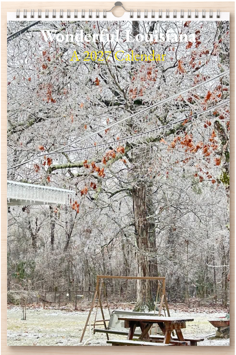 Wonderful Louisiana: A 2027 Calendar