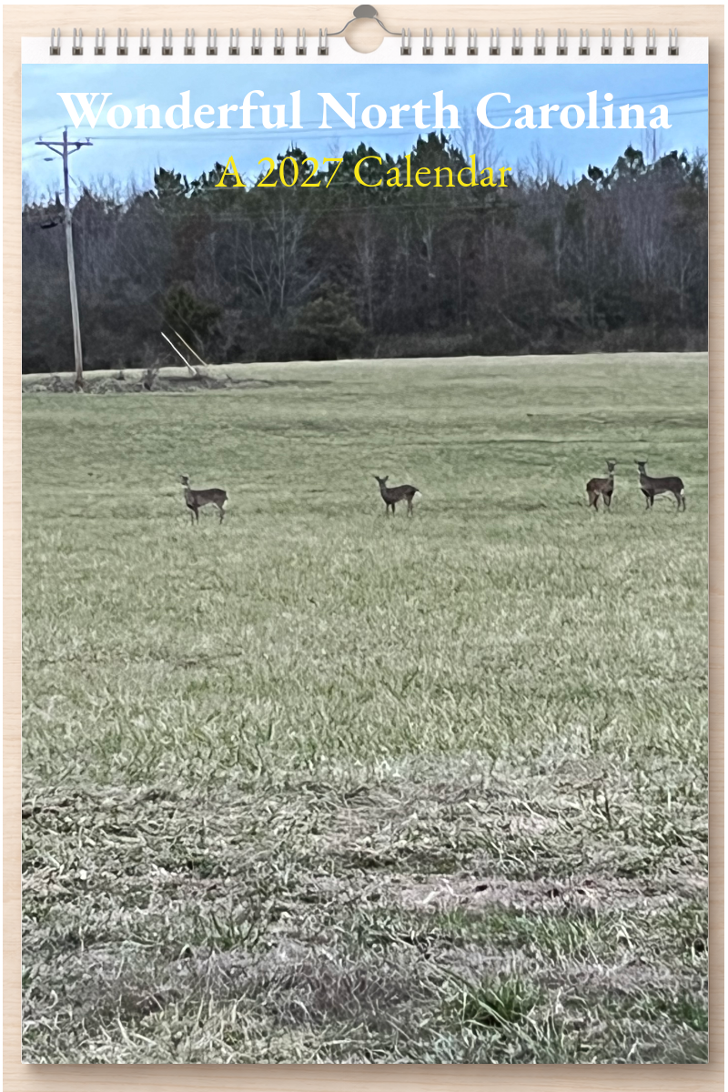 Wonderful North Carolina: A 2027 Calendar