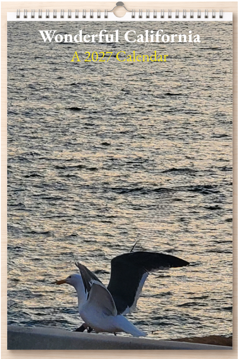 Wonderful California: A 2027 Calendar