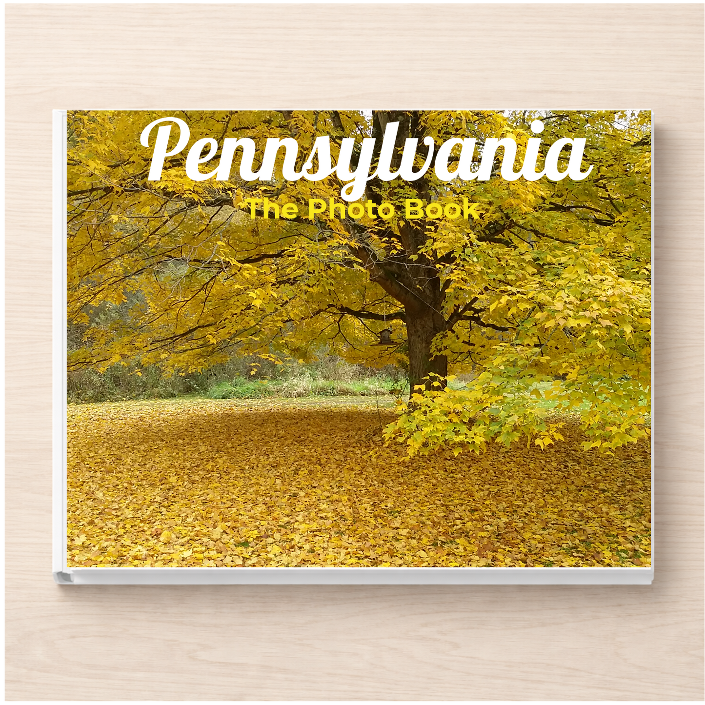 Pennsylvania: The Photo Book
