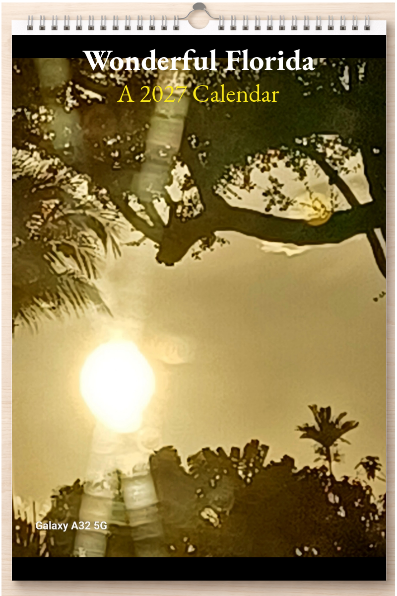 Wonderful Florida: A 2027 Calendar