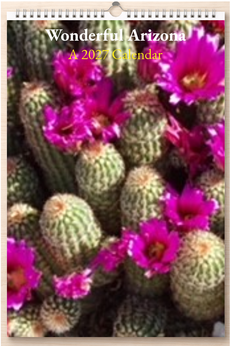 Wonderful Arizona: A 2027 Calendar