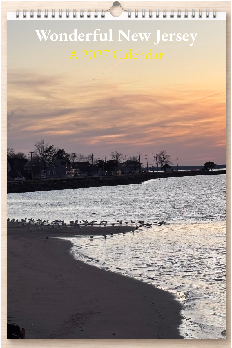Wonderful New Jersey: A 2027 Calendar