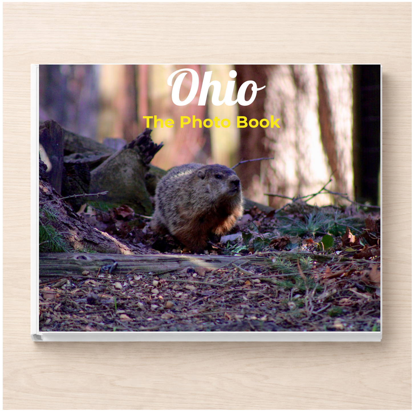 Ohio: The Photo Book