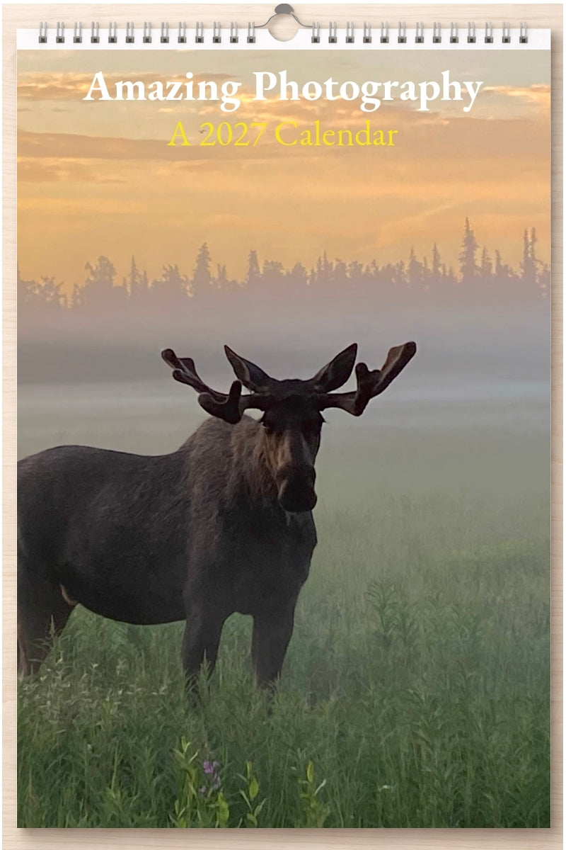 Amazing Photography: A 2027 Calendar